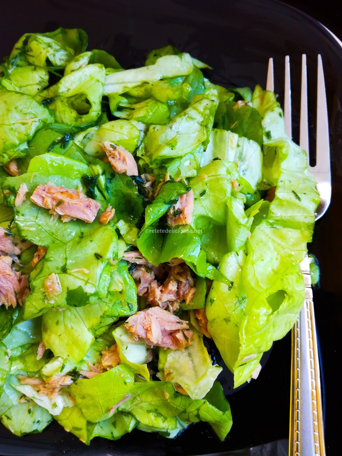 reteta salata ton